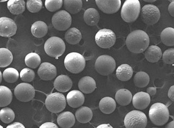 消失模專用寶珠砂