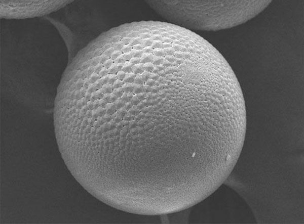 鋼包引流劑寶珠砂